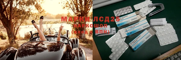 СК Абинск