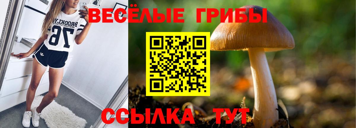 Псилоцибиновые грибы мицелий Курчатов