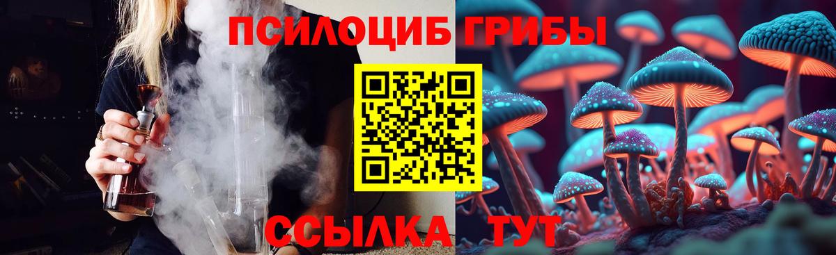Курчатов  Галлюциногенные грибы GOLDEN TEACHER  купить наркотик  Вход с VPN 